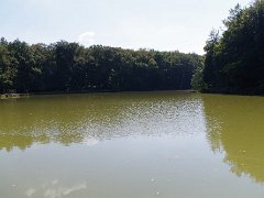 Jungfischertag 10.09.2016